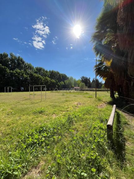 Finca en Venta en Maipu, Mendoza