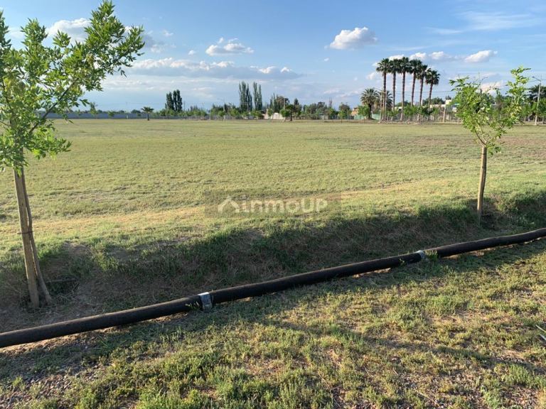 Lote en Venta en Guaymallen, Mendoza