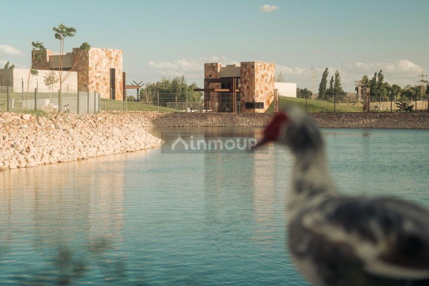 Lote en Venta en Lujan de Cuyo, Mendoza