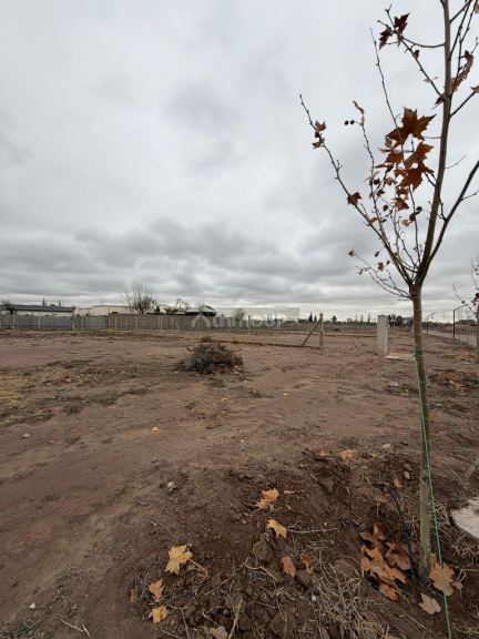 Lote en Venta en Lujan de Cuyo, Mendoza