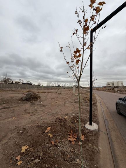 Lote en Venta en Lujan de Cuyo, Mendoza