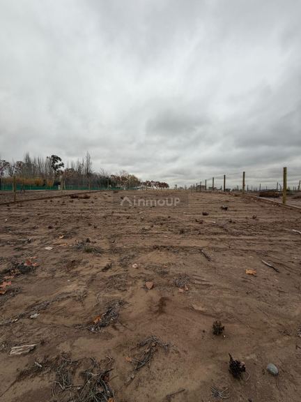 Lote en Venta en Lujan de Cuyo, Mendoza