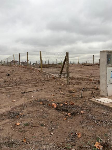 Lote en Venta en Lujan de Cuyo, Mendoza
