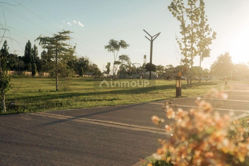 Lote en Venta en Lujan de Cuyo, Mendoza