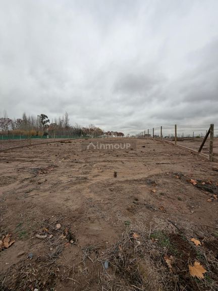Lote en Venta en Lujan de Cuyo, Mendoza
