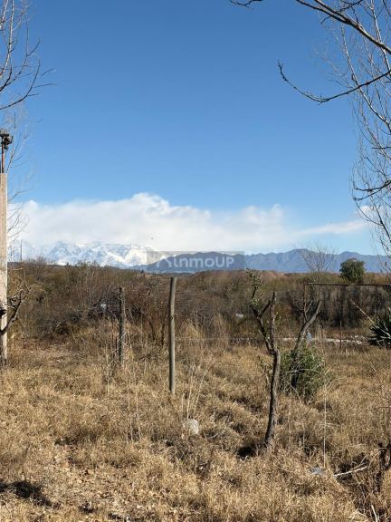 Casa Quinta en Venta en Maipu, Mendoza