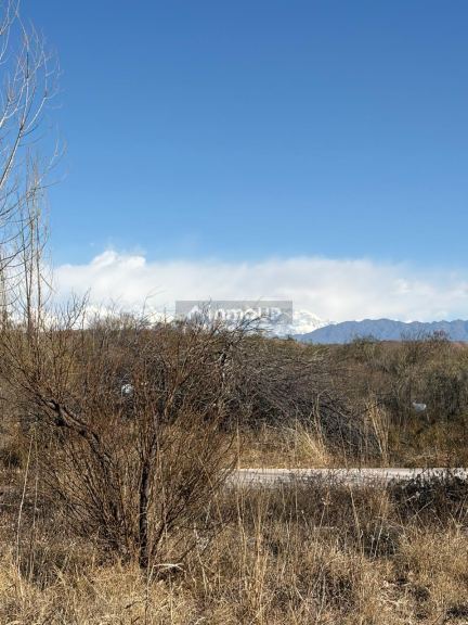 Casa Quinta en Venta en Maipu, Mendoza