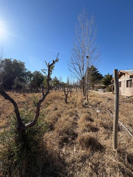 Casa Quinta en Venta en Maipu, Mendoza