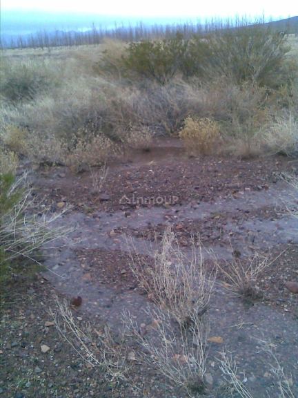 Finca en Venta en Las Heras, Mendoza