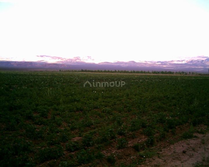 Finca en Venta en Las Heras, Mendoza