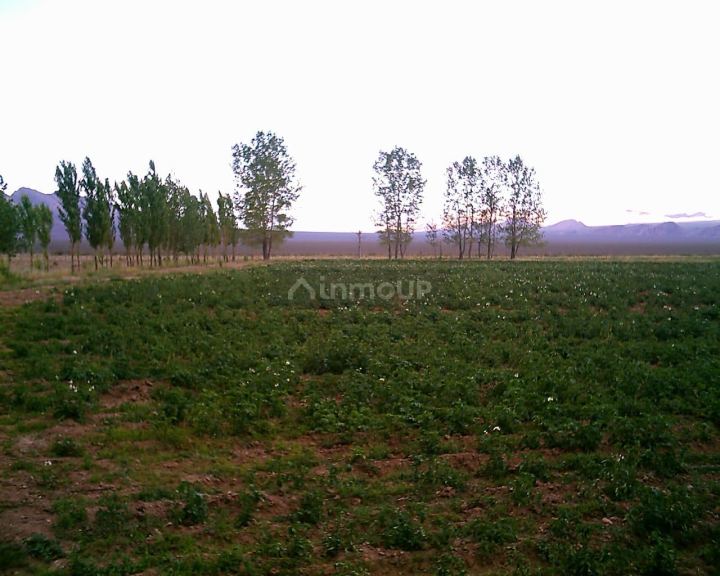 Finca en Venta en Las Heras, Mendoza