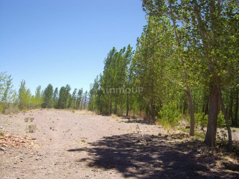 Finca en Venta en Las Heras, Mendoza