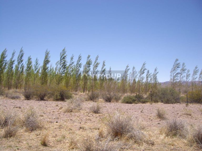 Finca en Venta en Las Heras, Mendoza