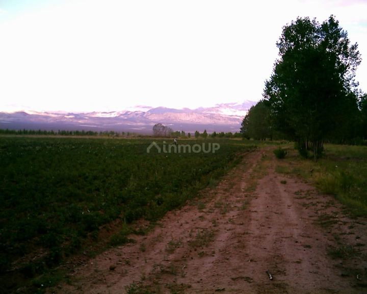 Finca en Venta en Las Heras, Mendoza