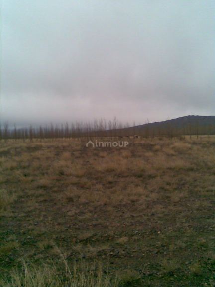 Finca en Venta en Las Heras, Mendoza