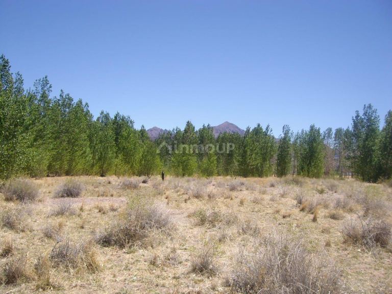 Finca en Venta en Las Heras, Mendoza