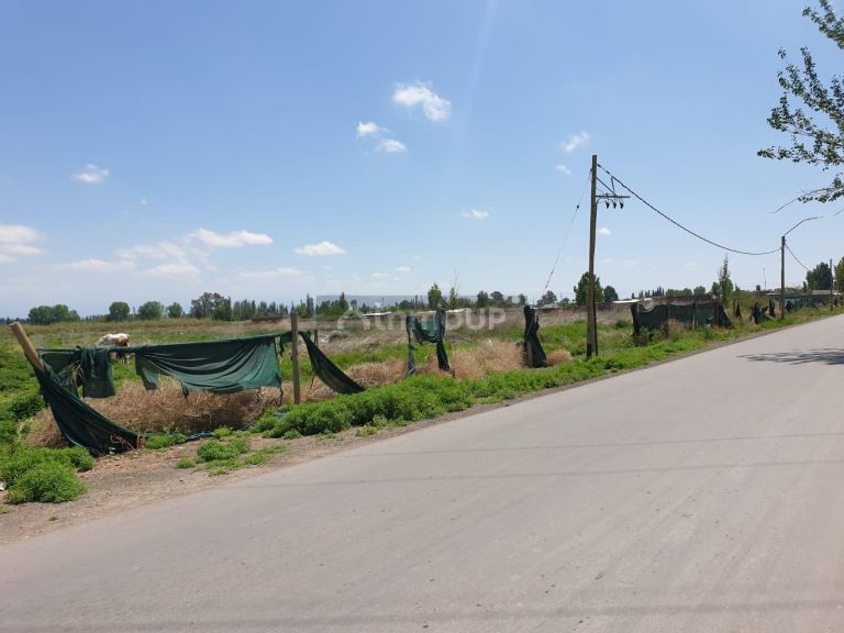 Finca en Venta en Lavalle, Mendoza