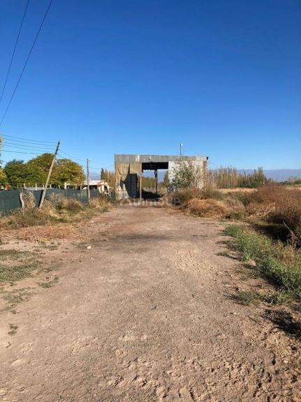 Finca en Venta en Lavalle, Mendoza