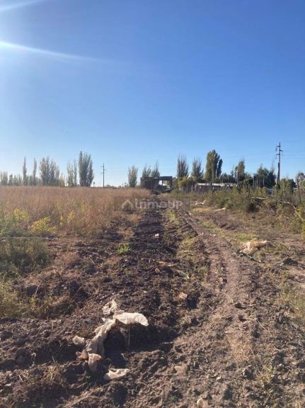 Finca en Venta en Lavalle, Mendoza