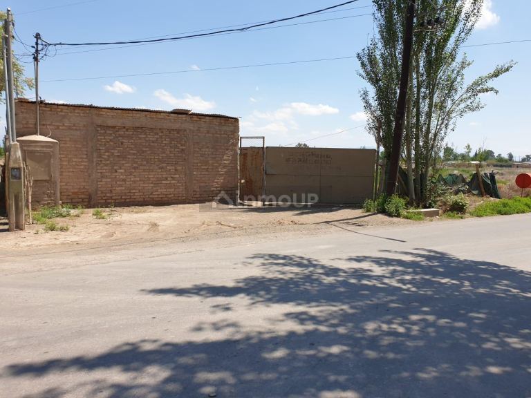 Finca en Venta en Lavalle, Mendoza