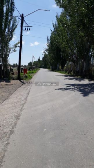 Finca en Venta en Lavalle, Mendoza