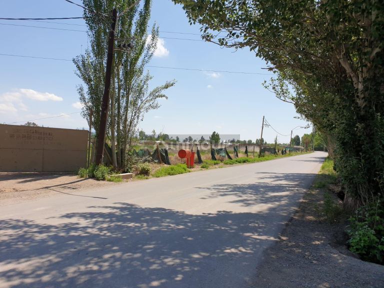 Finca en Venta en Lavalle, Mendoza