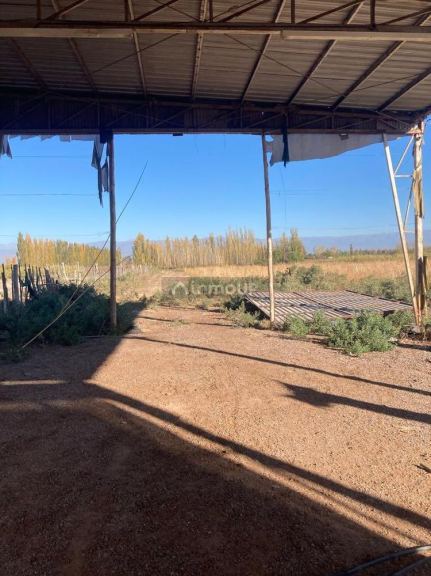 Finca en Venta en Lavalle, Mendoza