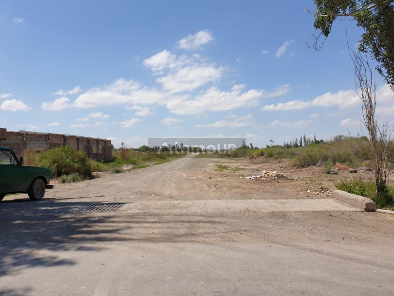 Finca en Venta en Lavalle, Mendoza