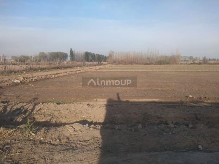 Finca en Venta en Lavalle, Mendoza