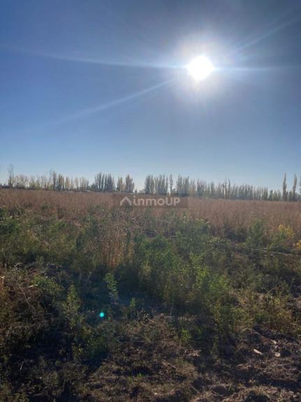 Finca en Venta en Lavalle, Mendoza