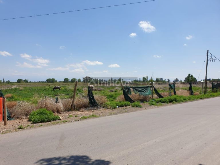 Finca en Venta en Lavalle, Mendoza