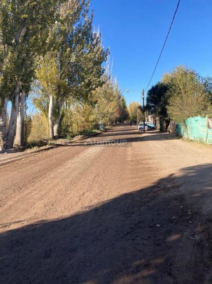 Finca en Venta en Lavalle, Mendoza