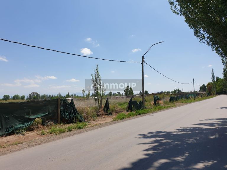 Finca en Venta en Lavalle, Mendoza