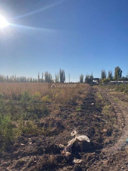 Finca en Venta en Lavalle, Mendoza