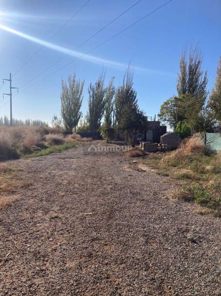 Finca en Venta en Lavalle, Mendoza