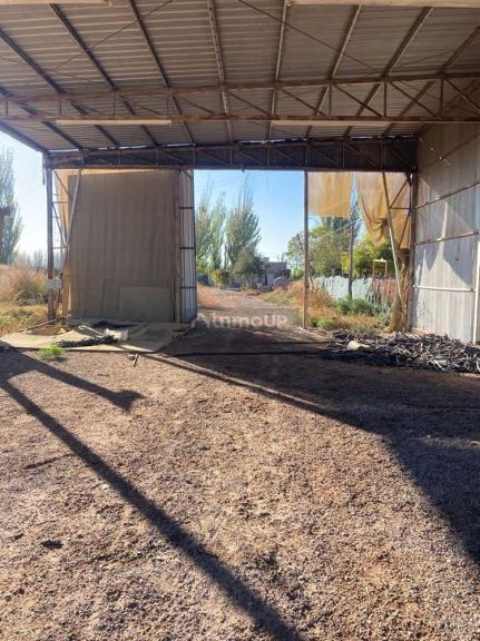 Finca en Venta en Lavalle, Mendoza