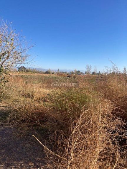 Finca en Venta en Lavalle, Mendoza