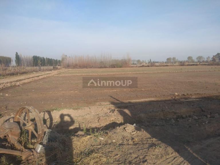 Finca en Venta en Lavalle, Mendoza