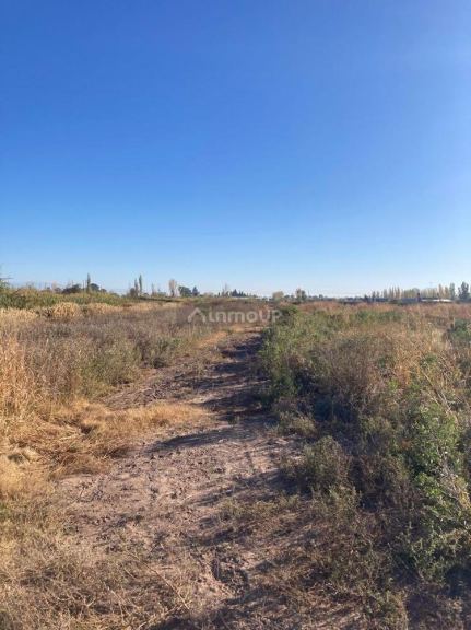 Finca en Venta en Lavalle, Mendoza