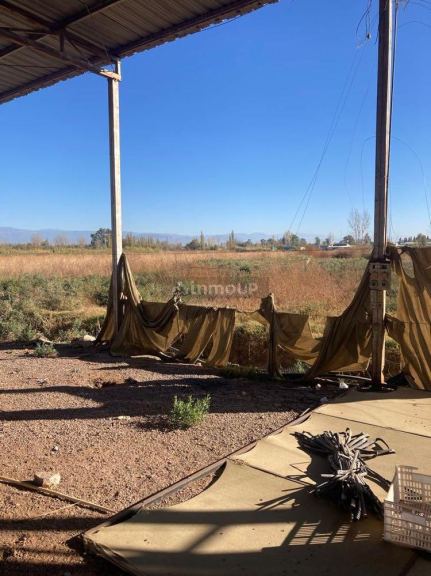 Finca en Venta en Lavalle, Mendoza