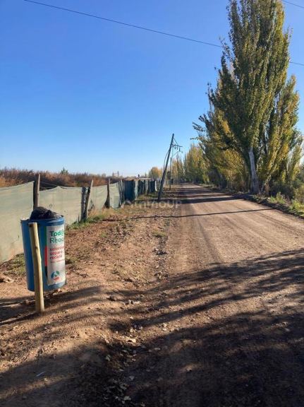 Finca en Venta en Lavalle, Mendoza