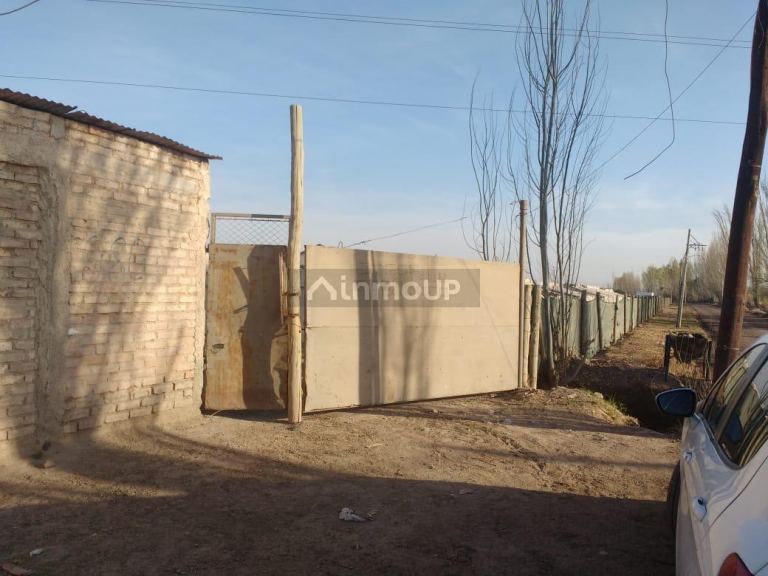 Finca en Venta en Lavalle, Mendoza
