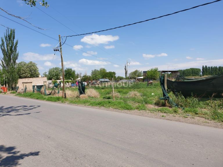 Finca en Venta en Lavalle, Mendoza