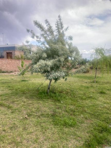 Lote en Venta en Maipu, Mendoza