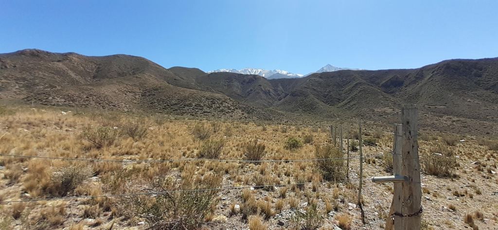 Lote en Venta en Lujan de Cuyo, Mendoza
