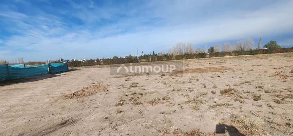 Lote en Venta en Lujan de Cuyo, Mendoza
