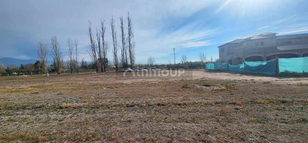Lote en Venta en Lujan de Cuyo, Mendoza