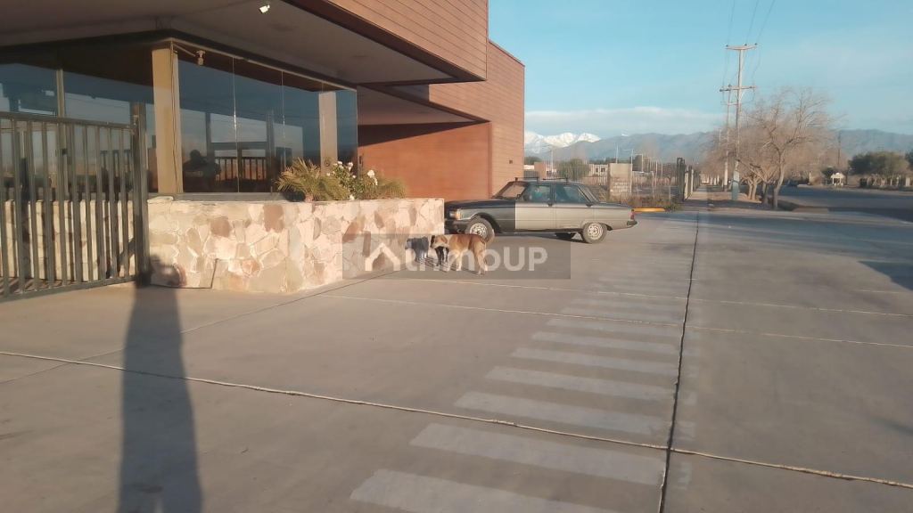 Lote en Venta en Lujan de Cuyo, Mendoza