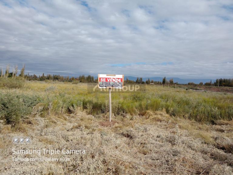 Lote en Venta en Lavalle, Mendoza