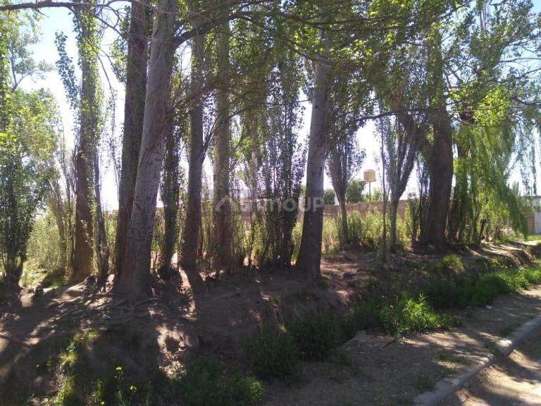 Lote en Venta en Malargue, Mendoza